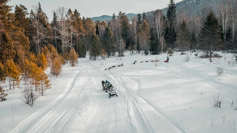 Alone in the Dark: The Mental Battle at the Heart of the Yukon Quest