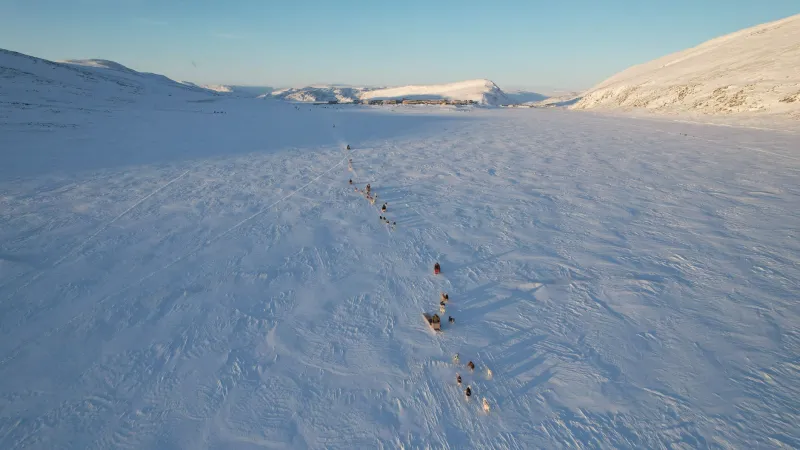 Broken Runners and Duct Tape Dreams: How the Yukon Quest Keeps Reinventing the Sled