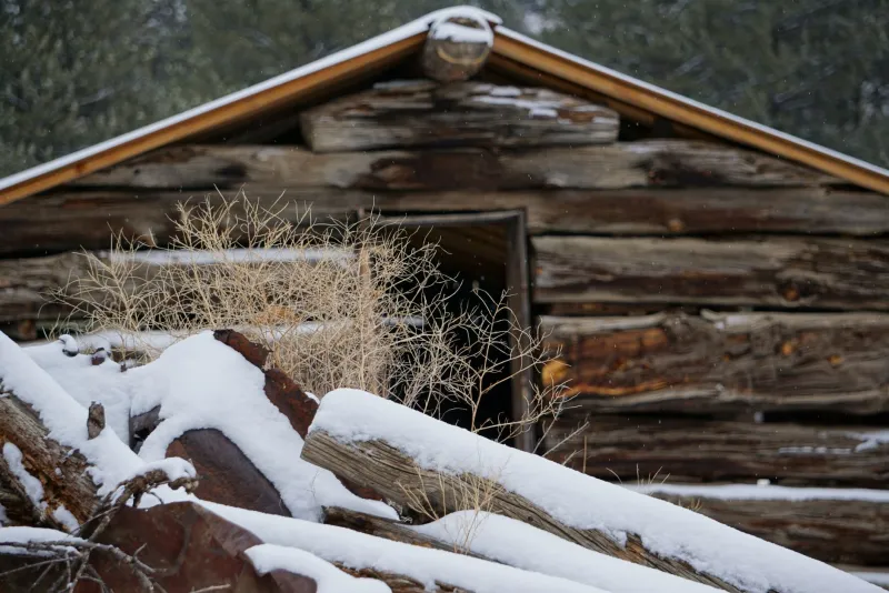 Echoes on the Trail: The Forgotten Settlements Haunting the Yukon Quest Route