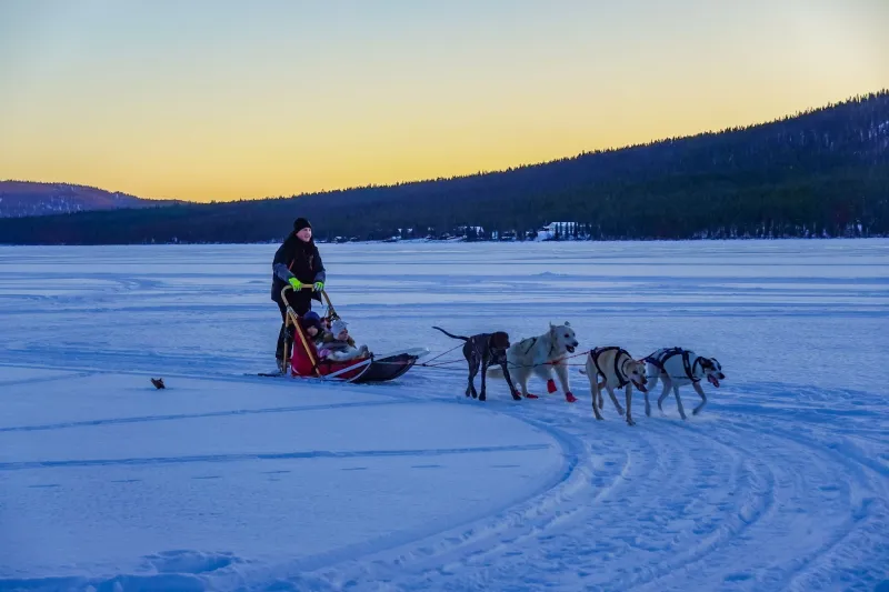 Trailblazers Before the Race: The Indigenous Knowledge That Built the Yukon Quest
