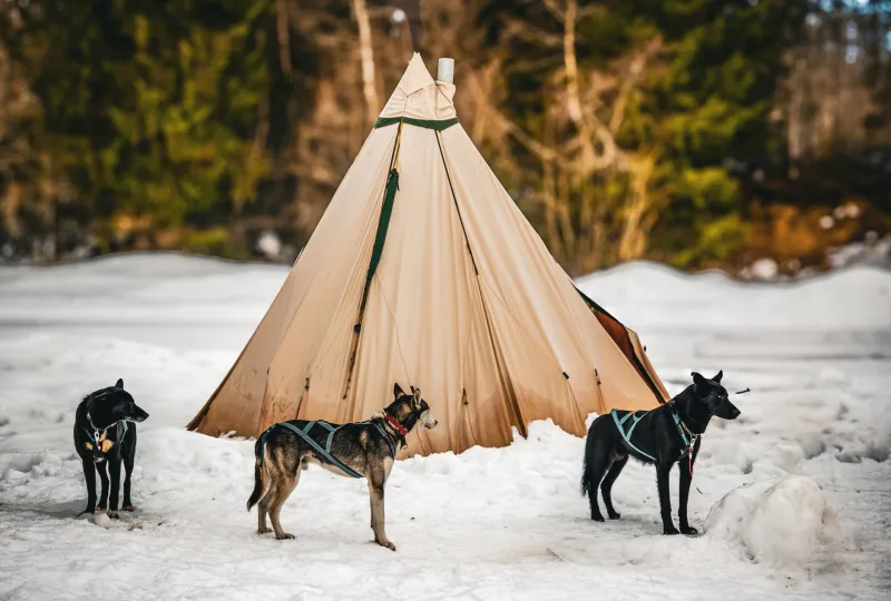 Wisdom Written in the Snow: How First Nations Knowledge Still Guides Racers Through the North