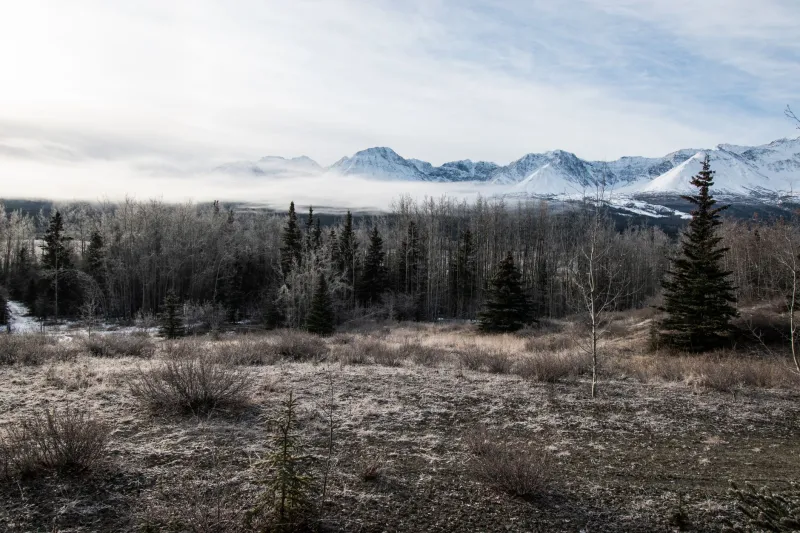Keepers of the Cold: The Volunteers Who Hold the Yukon Quest Together from the Inside Out