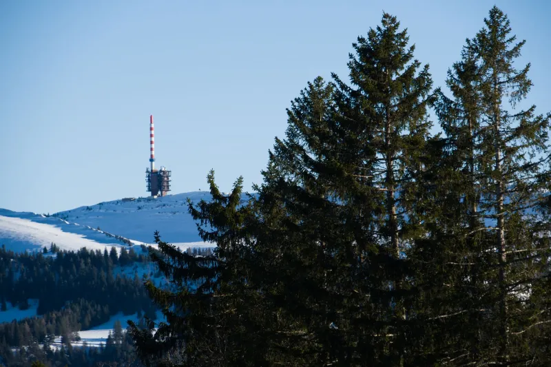 Signal and Silence: The Invisible Web Keeping Mushers Alive Across a Thousand Miles of Nothing