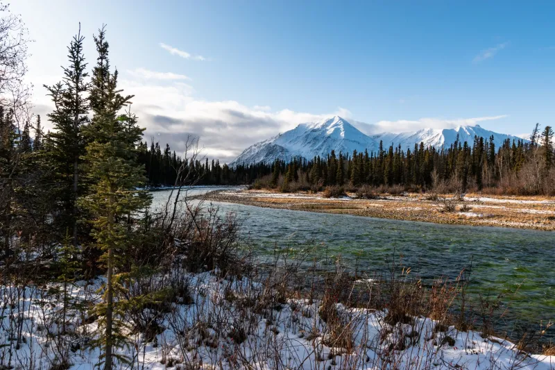 Where the Trail Meets Memory: The Living History Hidden Along the Yukon Quest Route