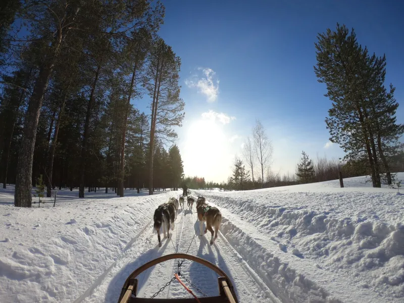 Where the Trail Turns Mean: Inside the Yukon Quest's Most Feared Stretch of Ice