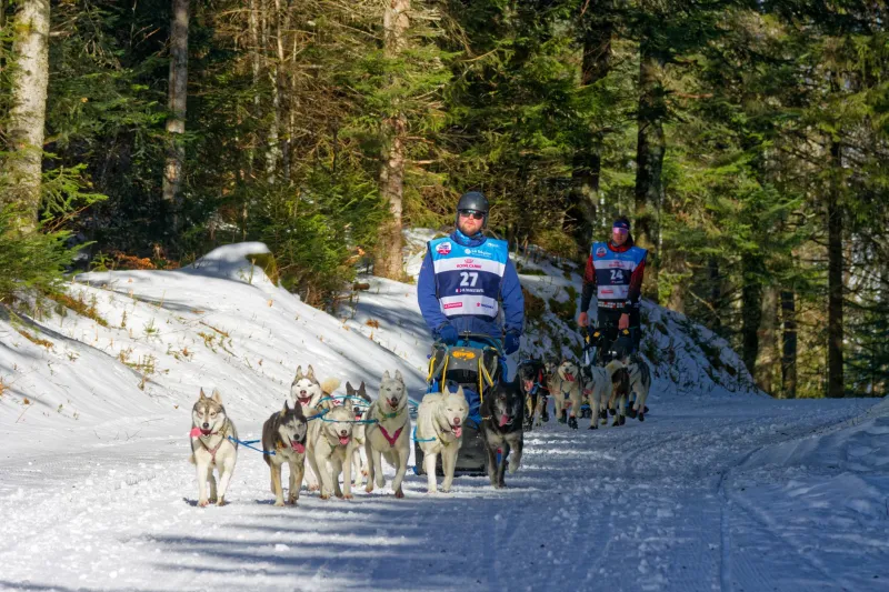 Years in the Making: The Real Timeline to Racing the Yukon Quest